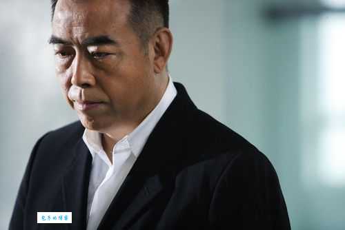 陈凯歌个人资料及作品赏析：一位电影大师的艺术之路
