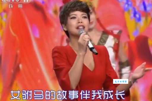 你不知道的慕容晓晓女驸马故事