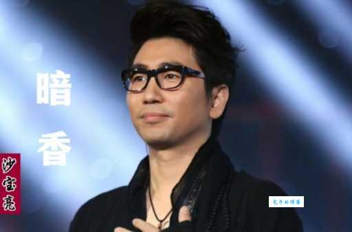 沙宝亮完整简历：从暗香到我是歌手的辉煌之路