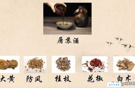 屠苏指的是什么意思？详解古代药酒屠苏酒的来历和习俗