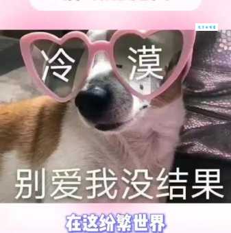 抖音爆款“无情哈拉少”是什么意思？带你了解网络流行语