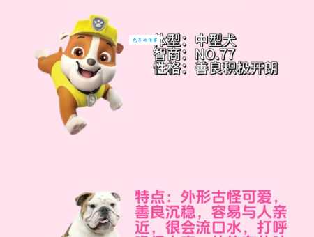 想知道“汪星人”是什么意思？这里有最全解释