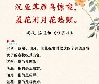 沉鱼落雁的含义和用法详解，让你轻松掌握这个成语