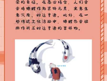 想知道网络语锦鲤是什么意思吗？一文带你彻底了解锦鲤
