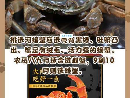 河蟹究竟是什么？从生物到网络用语全方面解读