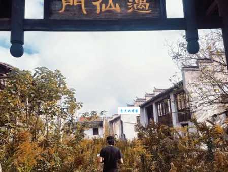 上海东海影视乐园：废墟？还是宝藏？揭秘其神秘面纱！
