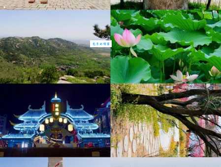 临沂旅游景点大全：亲子游好去处，带娃玩转临沂山水