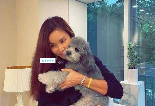 高小英个人资料详解：她的电影作品、婚姻家庭及最新动态