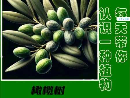 沙漠里四季常绿的神奇植物：揭秘荒漠植物的生存之道