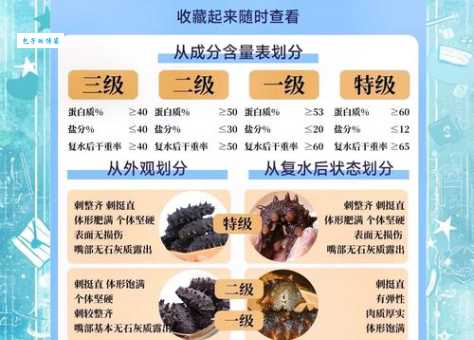 如何区分海参好坏？一看便知的海参挑选技巧