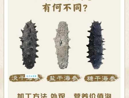 如何区分海参好坏？一看便知的海参挑选技巧