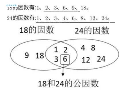一文详解24的因数有哪些？附计算方法