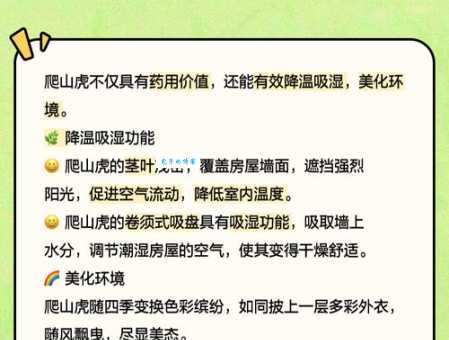爬山虎的资料：图文详解爬山虎的特性、用途和价值