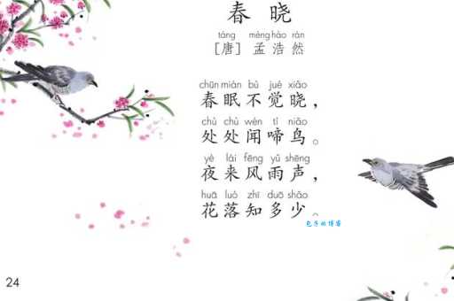细解春晓：诗中描写的季节和具体时间是几点？