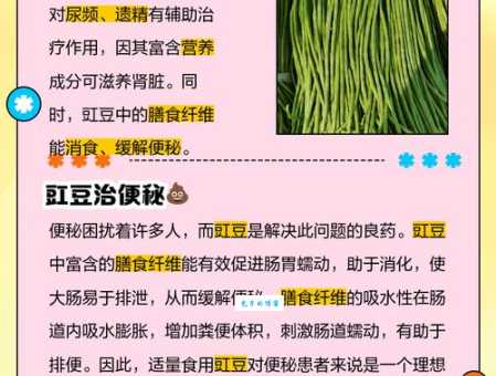 豇豆的功效与作用：吃豇豆对身体有哪些好处？