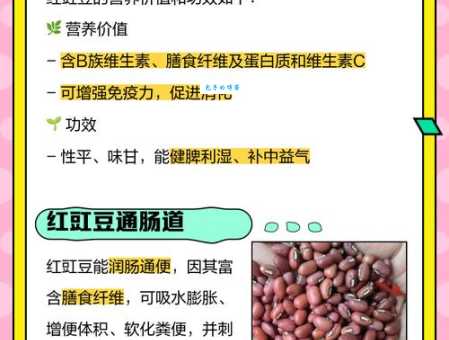 豇豆的功效与作用：吃豇豆对身体有哪些好处？