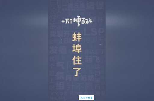 蚌埠住了怎么读？网络流行语谐音详解