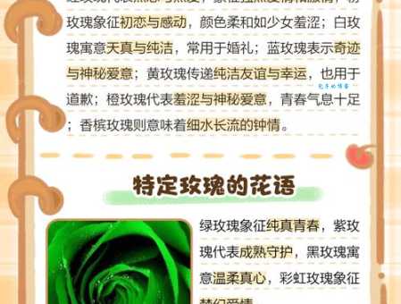 30朵玫瑰花语大全：信是有缘？还是爱到永远？