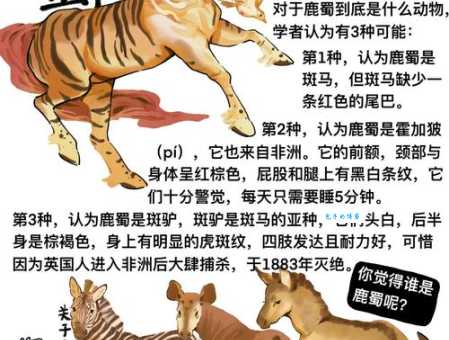 中国古代最早驯化的动物是哪种？历史证据告诉你答案