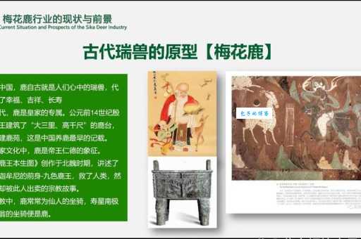 中国古代最早驯化的动物是哪种？历史证据告诉你答案