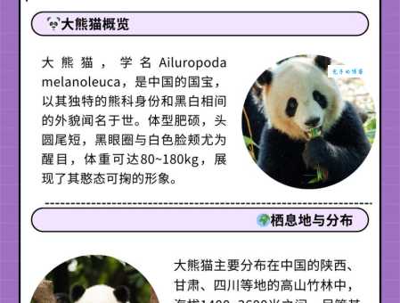 大熊猫为什么这么珍贵？探秘国宝背后的原因和意义