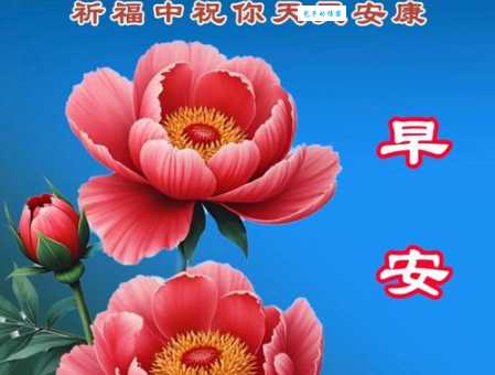 想知道顺遂安康是什么意思吗？这句祝福语的含义和出处
