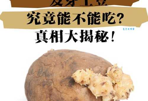 土豆发芽了到底能不能吃？专家教你辨别和处理方法