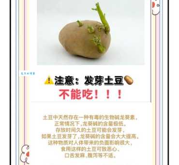 土豆发芽了到底能不能吃？专家教你辨别和处理方法