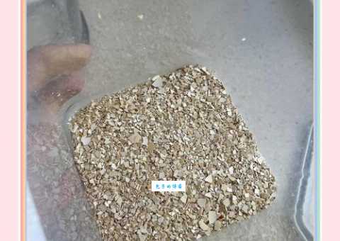 不知道鸡蛋壳是什么垃圾？看完这篇就懂了
