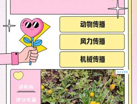 植物传播种子有哪些妙招？看完你就明白了！