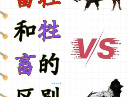六畜指的是哪六种动物？详解六畜的起源和文化意义