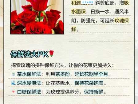 玫瑰花怎么保鲜？教你延长玫瑰花寿命的小妙招