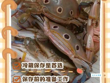 买回活螃蟹不会保存？教你几个简单方法，鲜活到吃到嘴！