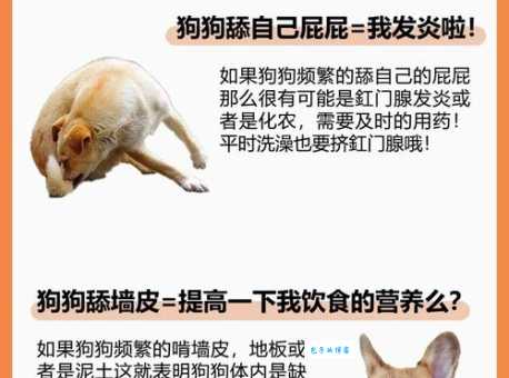 网络流行语“舔狗”是什么意思？深度解读舔狗的含义和危害