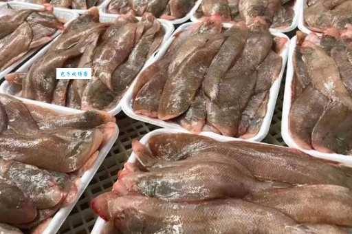 鳎目是什么鱼？龙利鱼、牛舌鱼都是它！