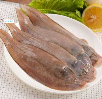 鳎目是什么鱼？龙利鱼、牛舌鱼都是它！