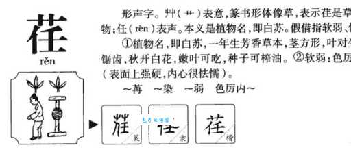 “荏”是什么植物？细说“荏”在古代诗歌和文学作品中的象征意义。