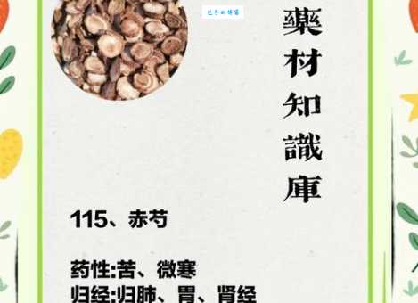 深入了解赤芍：功效、作用、用法用量及注意事项