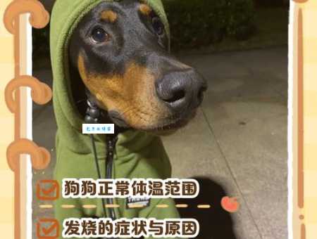 冷血动物体温如何随环境变化？深度解析冷血动物体温