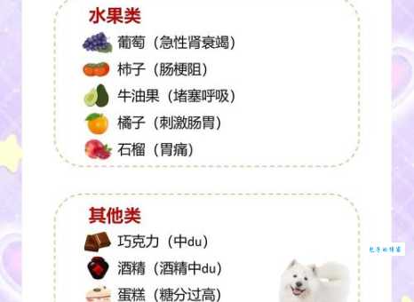 想知道萨摩耶吃什么？详解萨摩耶的饮食习惯和食物选择