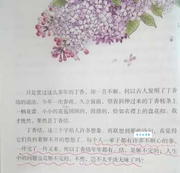 霜树尽空枝肠断丁香结的意思是什么？诗意详解及赏析