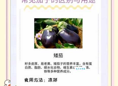 深入了解茄子的营养价值和功效：吃茄子好处多