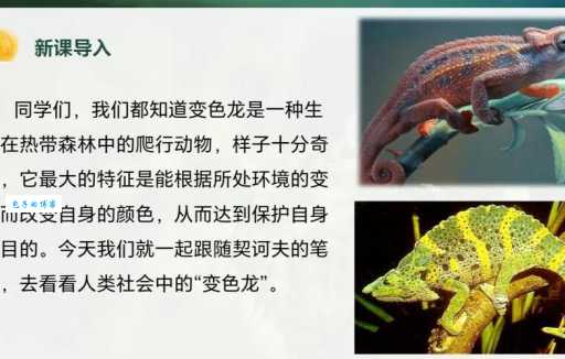 你了解变色龙比喻的人吗？看透其背后的真实面目