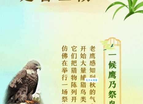 处暑读几声？chǔ shǔ发音详解及节气介绍