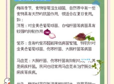 什么时候是梅雨季节？梅雨季天气特点及应对方法
