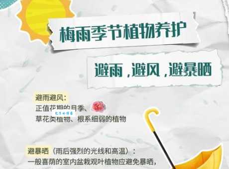 什么时候是梅雨季节？梅雨季天气特点及应对方法