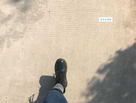 深度解读：北巷栀酒的含义及象征意义