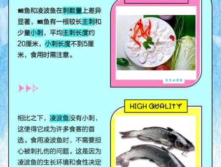 鮰鱼属于什么档次？好吃吗？和其它鱼有什么区别？
