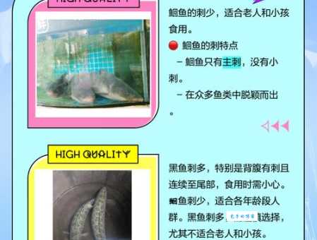 鮰鱼属于什么档次？好吃吗？和其它鱼有什么区别？