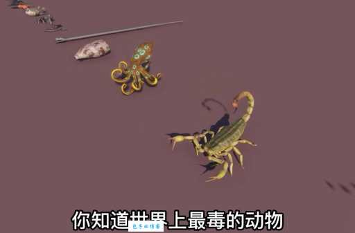 令人惊奇的无尾动物世界！它们都有哪些共同点？